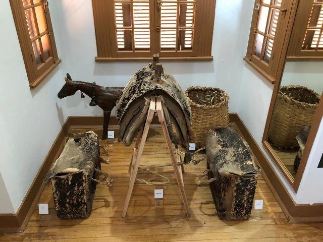 zimg-20250514-wa0032 2